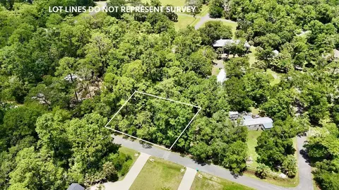 0 Crabapple Ln, Saint Marks, FL 32355 photo 4