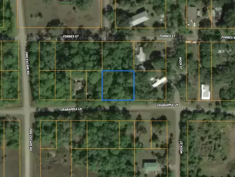 0 Crabapple Ln, Saint Marks, FL 32355 photo 12