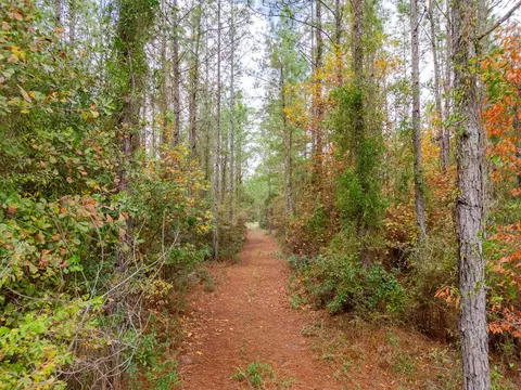 Pine Bluff Trail, Tallahassee, FL 32312