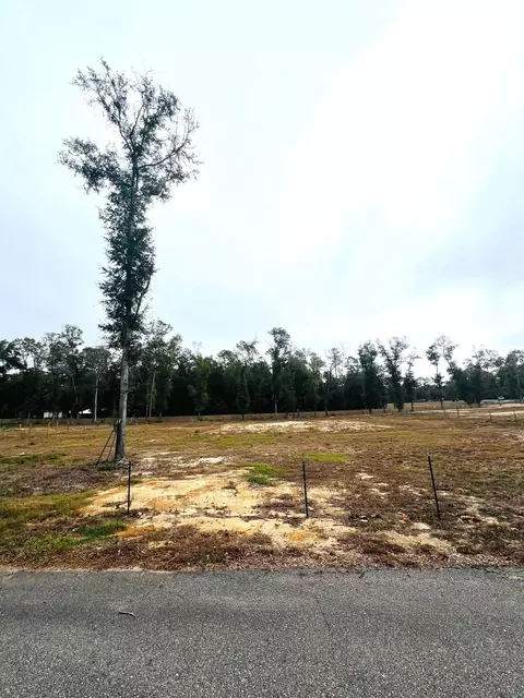 Nnn New Market Road, Hosford, FL 32334