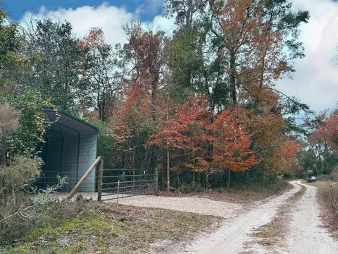 Turkey Trail, Crawfordville, FL 32327