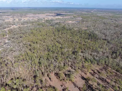 60 E 11 Ellison Rd, Perry, FL 32347