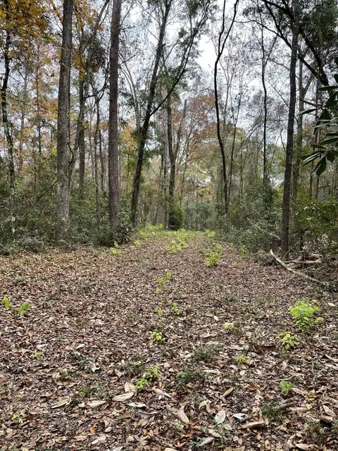 0 Old Bainbridge Rd, Tallahassee, FL 32303