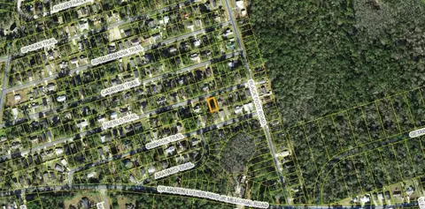 Nnn Chinook Trail, Crawfordville, FL 32327
