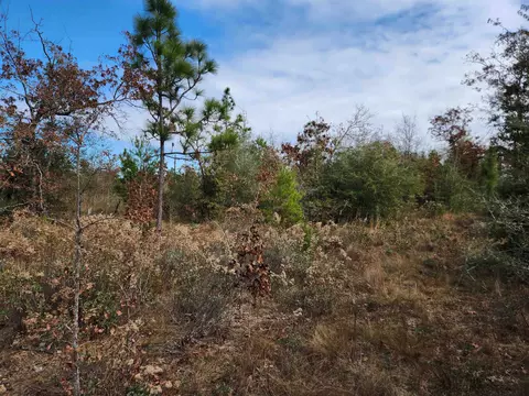 Nnn Sandstone, Other Florida, FL 32438