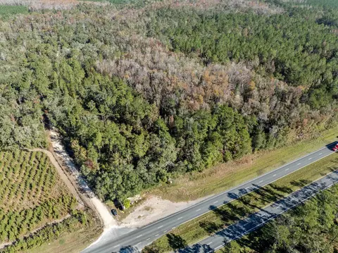 3621 E Capps Hwy, Lamont, FL 32336 photo 1