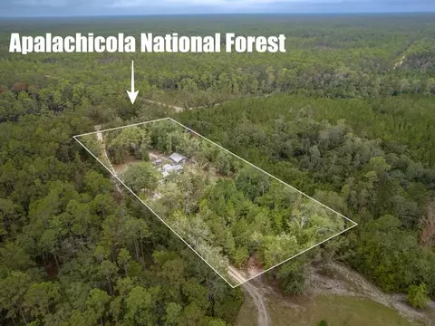 19599 NE Godwin Ln, Hosford, FL 32334