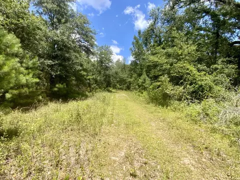 0000 NE Dandelion St, Madison, FL 32340
