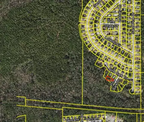 22 Pine Bark Ln, Midway, FL 32343 photo 5