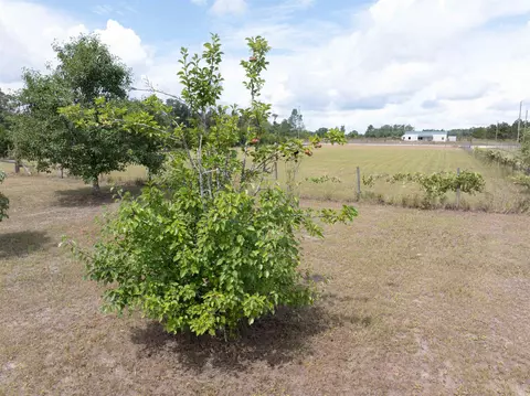 535 SE Baldwin Dr, Lee, FL 32059 photo 37