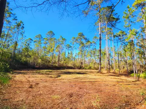 lot116 SW Pier Rd, Greenville, FL 32331
