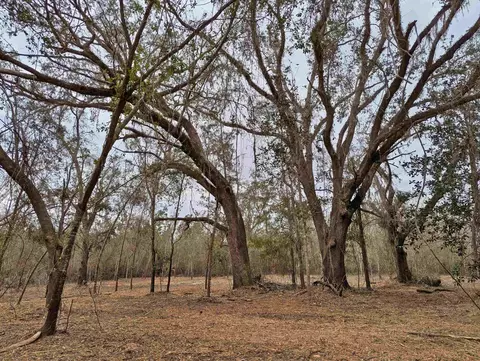 SE Farm Road, Lee, FL 32059
