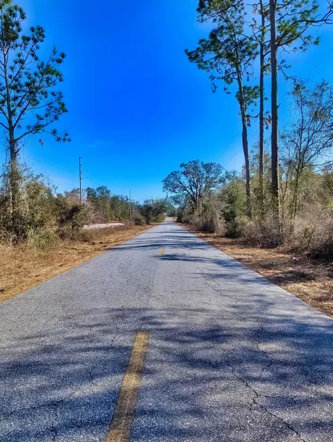 SE Farm Road, Lee, FL 32059 photo 6