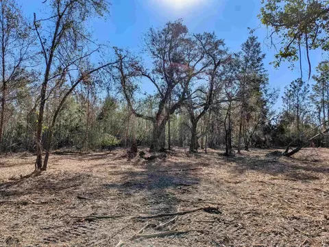 SE Farm Road, Lee, FL 32059 photo 4