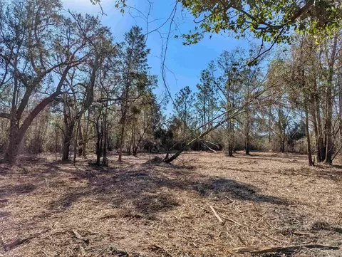 SE Farm Road, Lee, FL 32059 photo 5