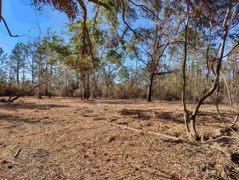 SE Farm Road, Lee, FL 32059 photo 3