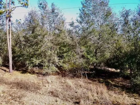 ne chervil drive, Lee, FL 32059 photo 5