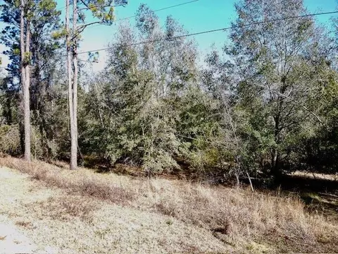 ne chervil drive, Lee, FL 32059 photo 3