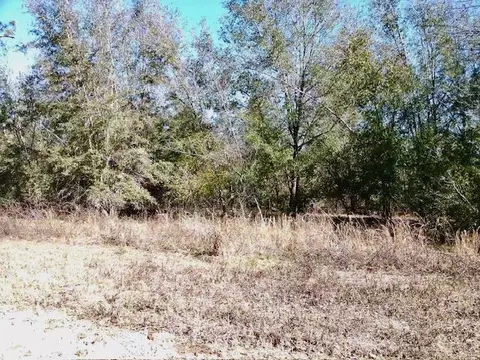 ne chervil drive, Lee, FL 32059 photo 9