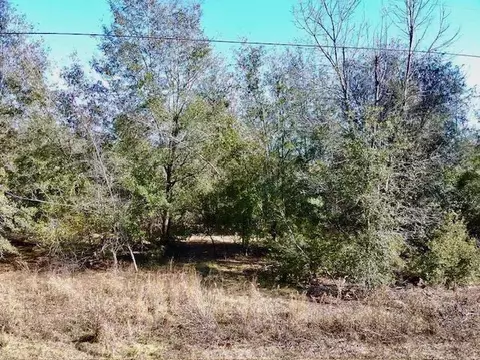 ne chervil drive, Lee, FL 32059 photo 7