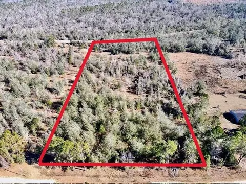 ne chervil drive, Lee, FL 32059 photo 2