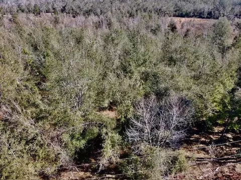 ne chervil drive, Lee, FL 32059 photo 12