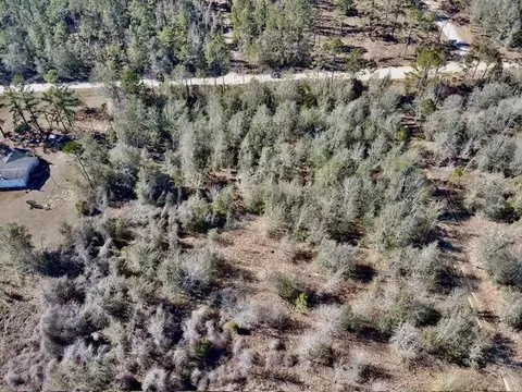ne chervil drive, Lee, FL 32059 photo 6