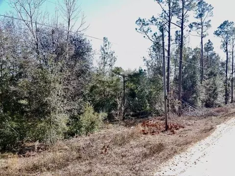 ne chervil drive, Lee, FL 32059 photo 8
