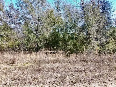 ne chervil drive, Lee, FL 32059