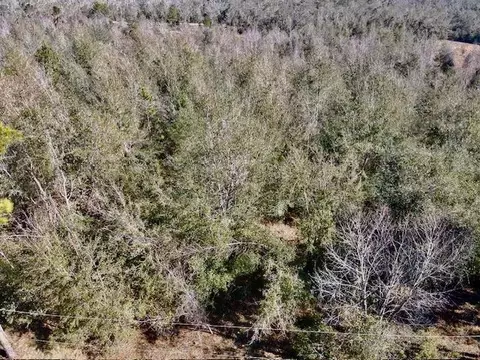 ne chervil drive, Lee, FL 32059 photo 14