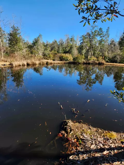 18185 NW Cr 287 Rd, Clarksville, FL 32430