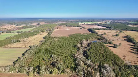 Bassett Dairy Road, Monticello, FL 32344