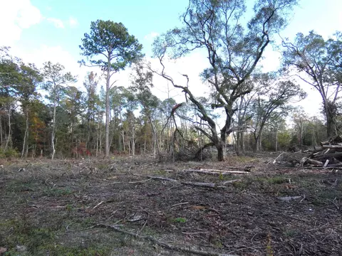 tbd Gamble Rd, Monticello, FL 32344