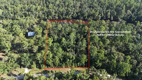 lot31 NE 32 Ne Madison Bluffs Way, Lee, FL 32059