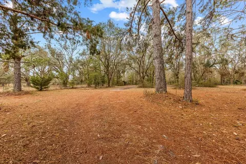 2311 Golf Course Rd, Perry, FL 32348 photo 24