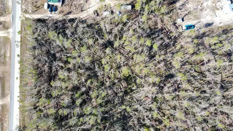 Vacant Seameadows Drive, Perry, FL 32348 photo 3