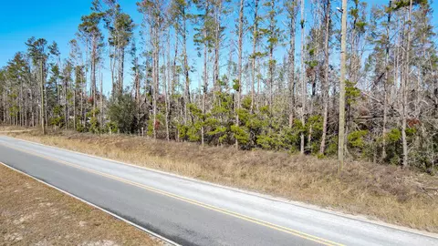 Vacant Seameadows Drive, Perry, FL 32348 photo 16