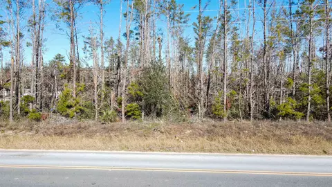Vacant Seameadows Drive, Perry, FL 32348 photo 15