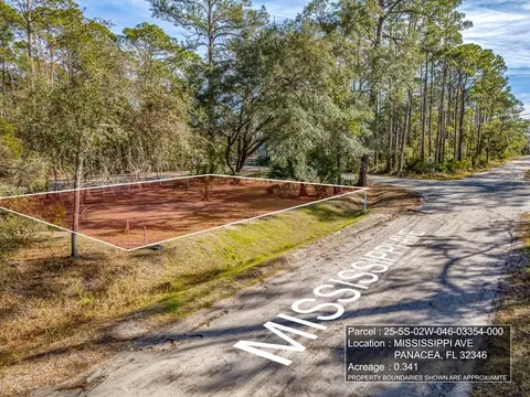 Nn Mississippi Avenue, Panacea, FL 32346
