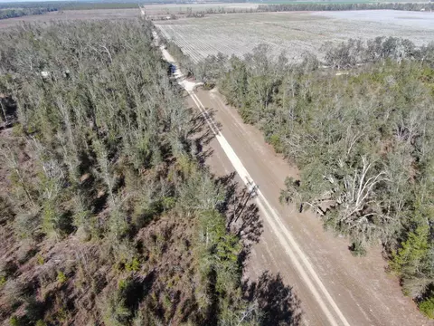 Vacant SE Olustee Drive, Lee, FL 32059 photo 9