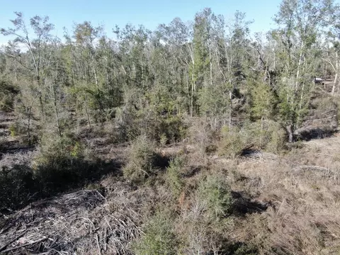 Vacant SE Olustee Drive, Lee, FL 32059 photo 15