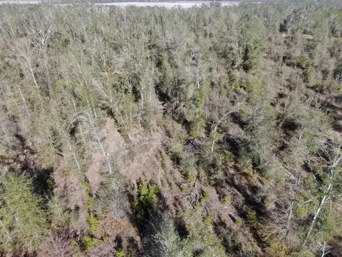 Vacant SE Olustee Drive, Lee, FL 32059 photo 23