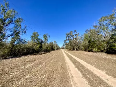 Vacant SE Olustee Drive, Lee, FL 32059 photo 5