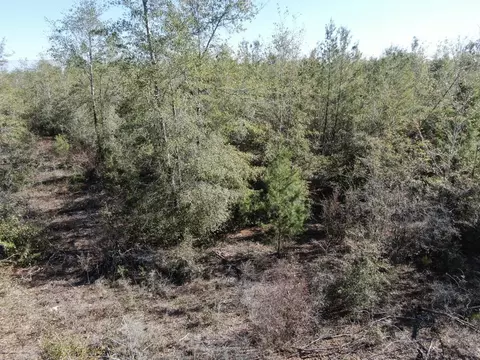 Vacant SE Olustee Drive, Lee, FL 32059 photo 20