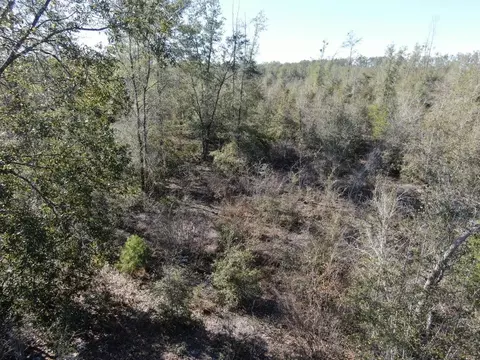Vacant SE Olustee Drive, Lee, FL 32059 photo 13
