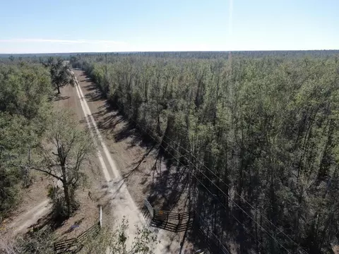 Vacant SE Olustee Drive, Lee, FL 32059 photo 21