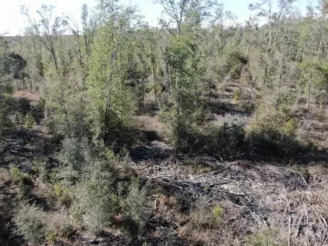 Vacant SE Olustee Drive, Lee, FL 32059 photo 11