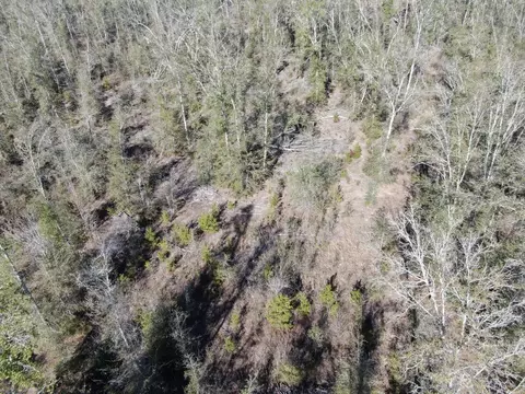 Vacant SE Olustee Drive, Lee, FL 32059 photo 27
