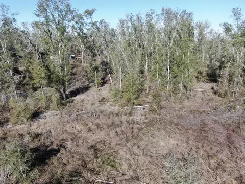 Vacant SE Olustee Drive, Lee, FL 32059 photo 17
