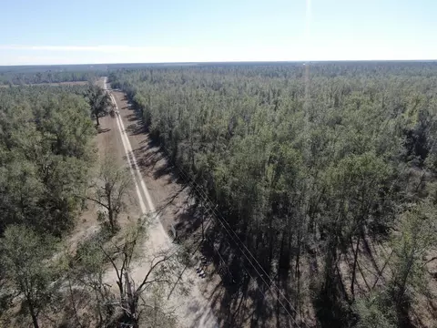Vacant SE Olustee Drive, Lee, FL 32059 photo 12